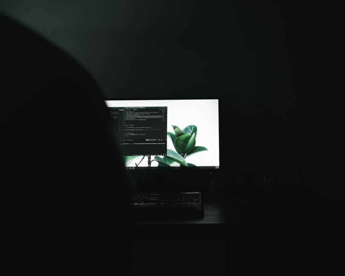 Web hosting and domain