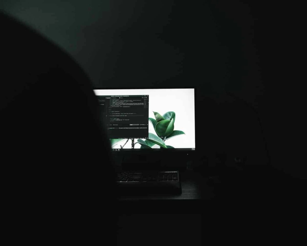 Web hosting and domain