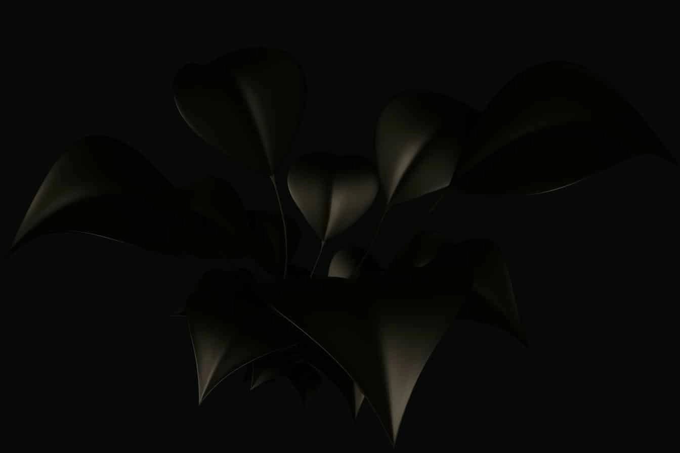 Black stylised leaves in low light representing digital tools, system depth, and operational complexity.