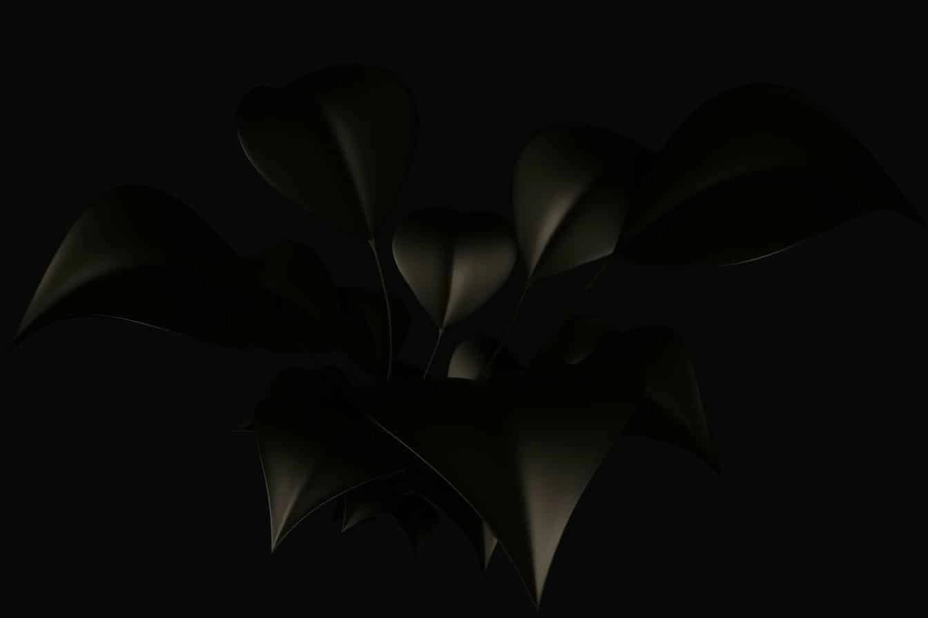 Black stylised leaves in low light representing digital tools, system depth, and operational complexity.