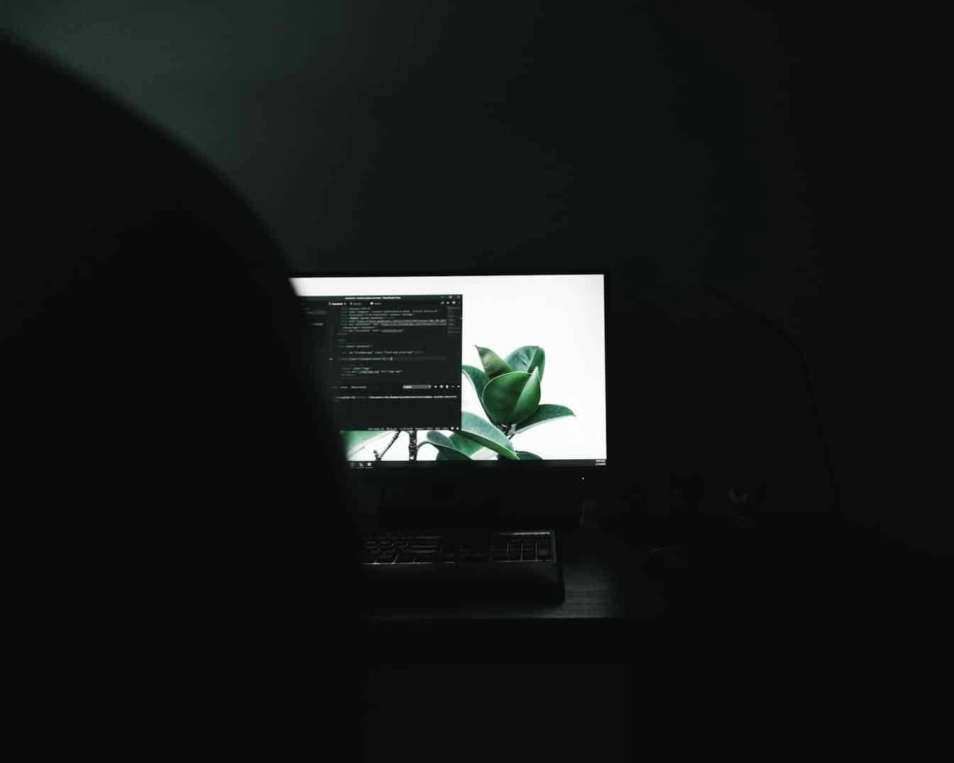 Dimly lit workspace with a monitor showing code and a plant-themed background.
