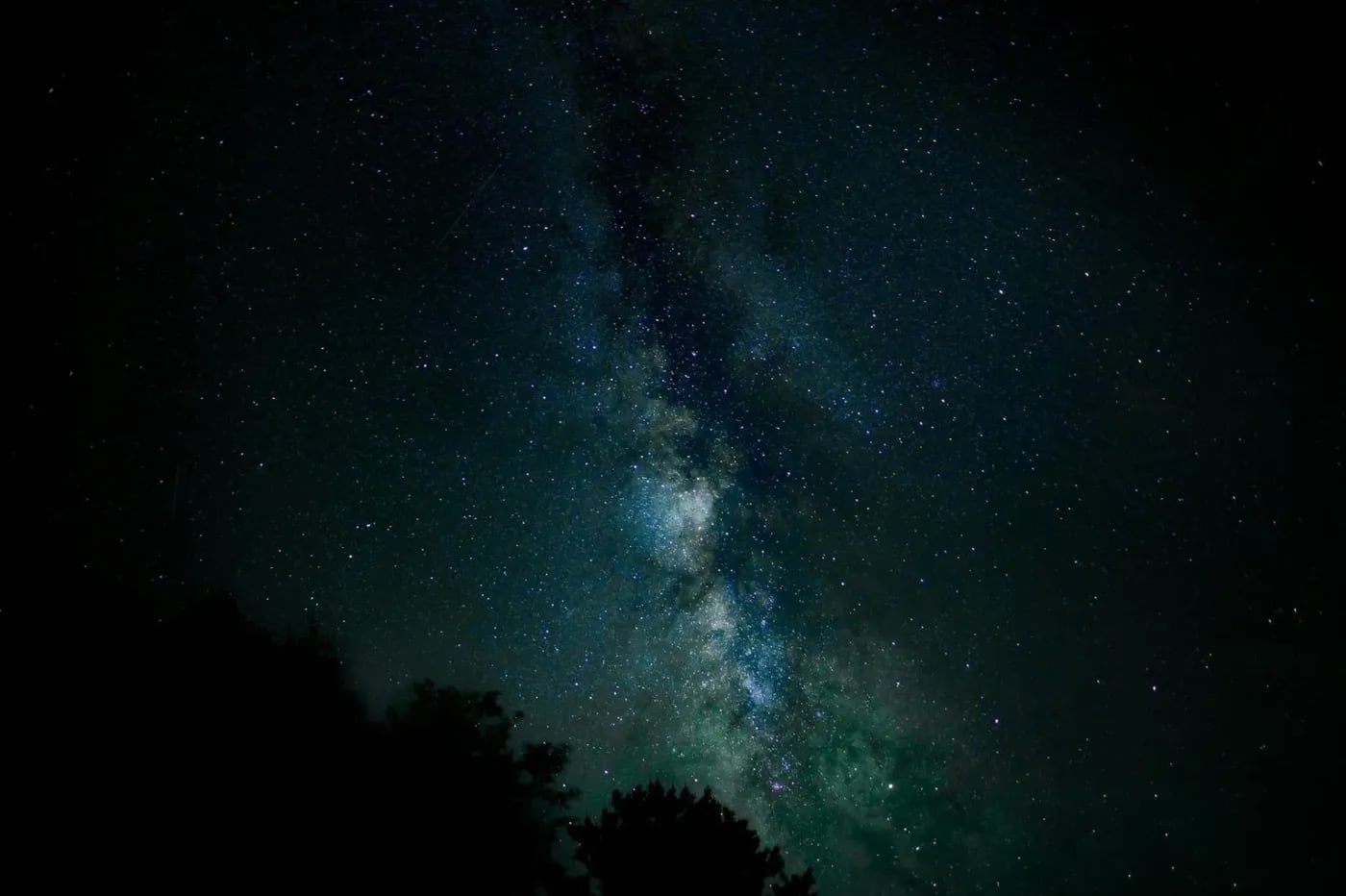 Night sky filled with stars and the Milky Way galaxy visible above dark tree silhouettes.