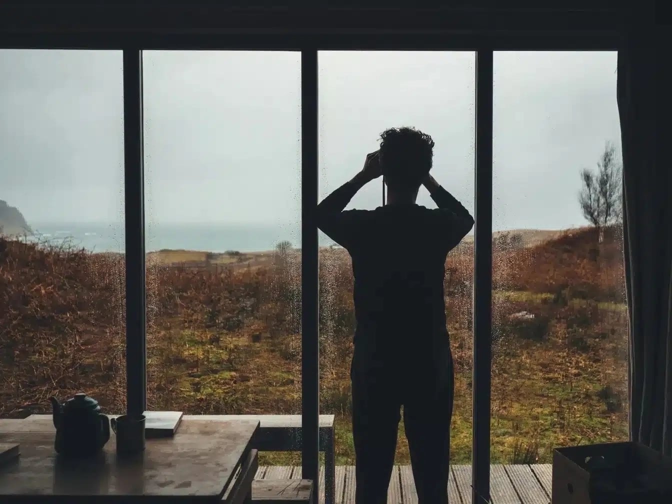 Silhouette of a person looking out through rain-covered glass doors toward a misty landscape and ocean
