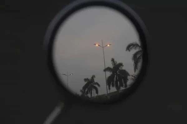 SEO services for growth