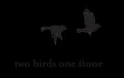 Two Birds One Stone brand logo.