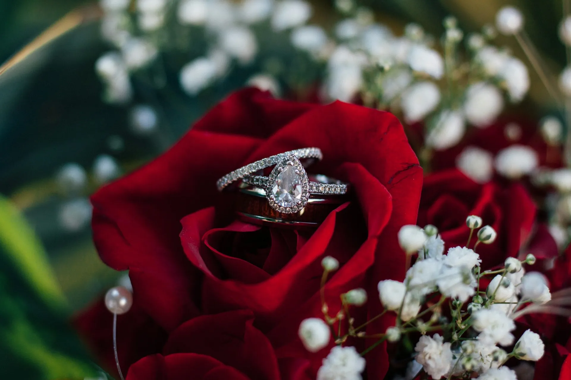 Diamond engagement and wedding rings placed on a deep red rose with baby's breath in the background.