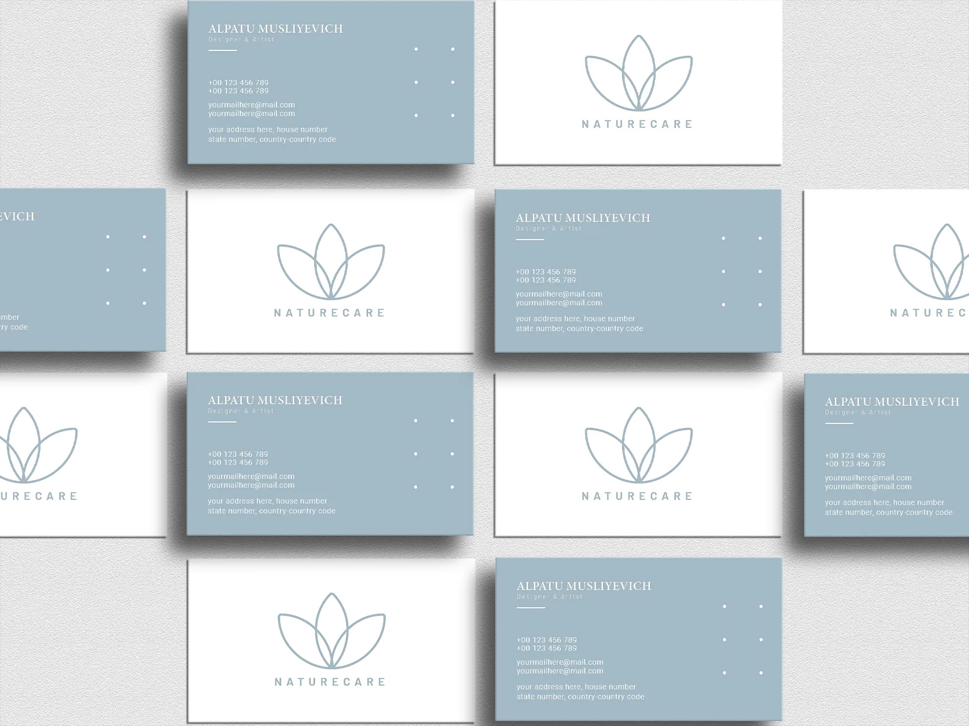 Business cards for 'Naturecare' Minimalist business cards for “Naturecare” featuring a leaf logo and soft blue and white color scheme, arranged in a flat lay.