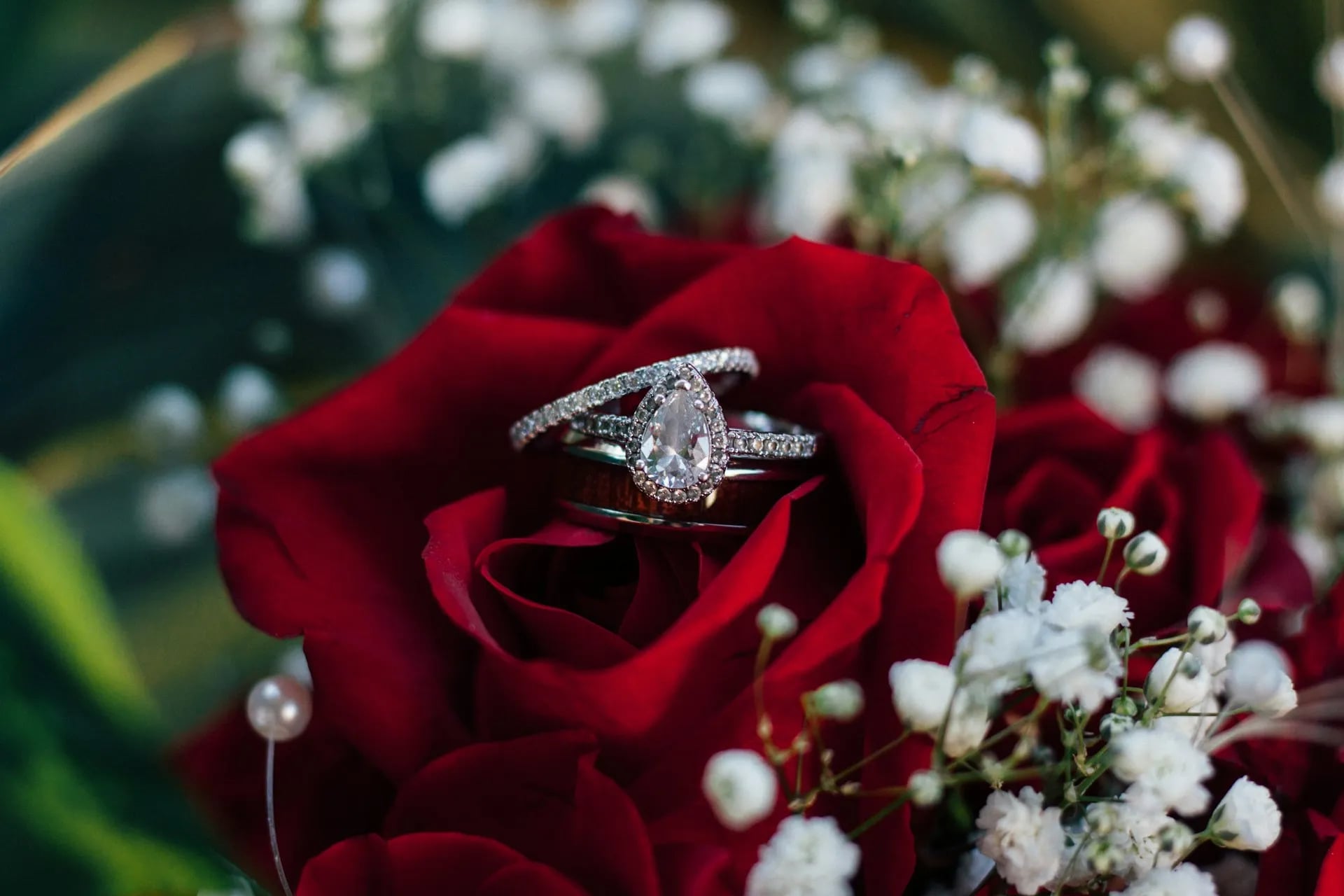 Engagement and wedding rings Diamond engagement and wedding rings placed on a deep red rose with baby's breath in the background.